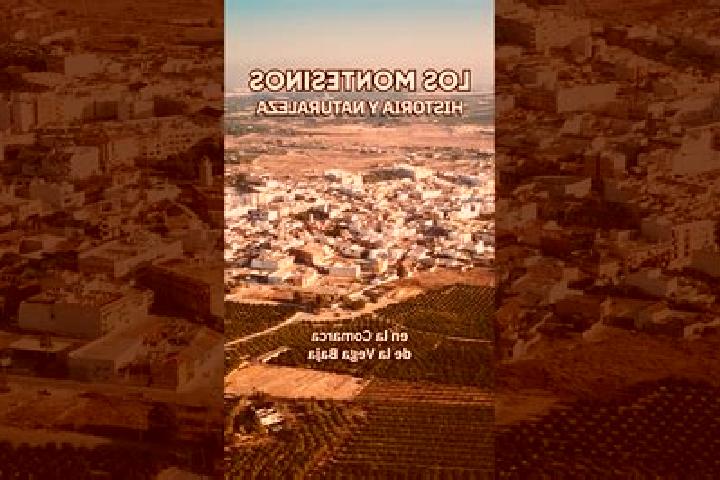 Escorts Los Montesinos, Spain — Local Companions