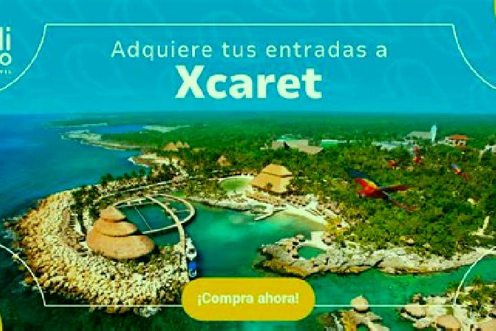 Escorts Los Parques, Mexico — Local Companions