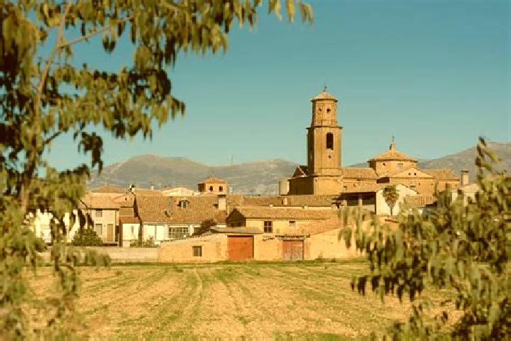 Escorts Loscorrales, Spain — Local Companions