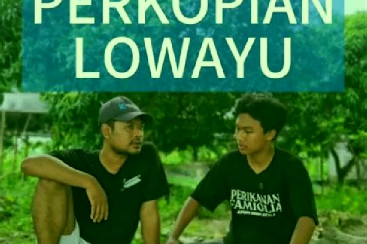 Escorts Lowayu, Indonesia — Local Companions