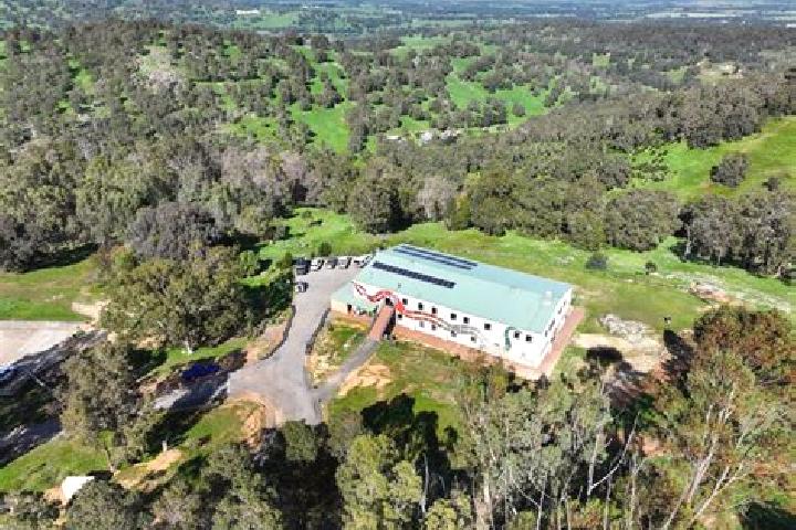 Escorts Lower King, Australia — Local Companions