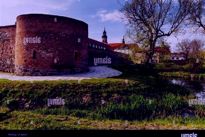 Escorts Lubawa, Poland — Local Companions