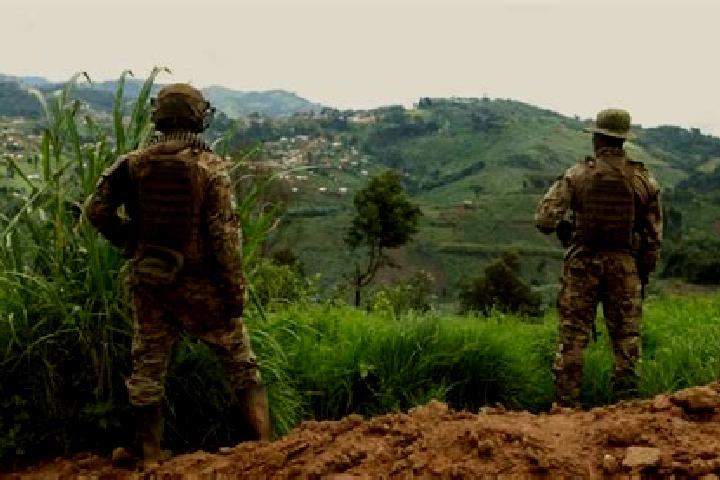 Escorts Lubero, DR Congo — Local Companions