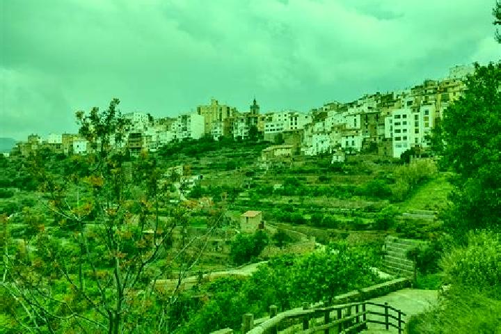 Escorts Lucena del Cid, Spain — Local Companions