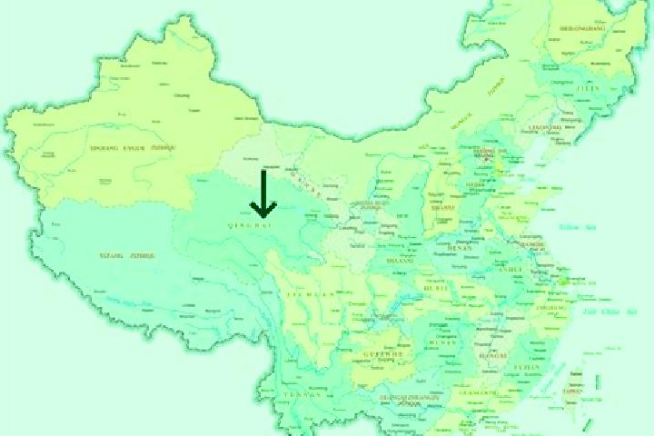Escorts Lucun, China — Local Companions
