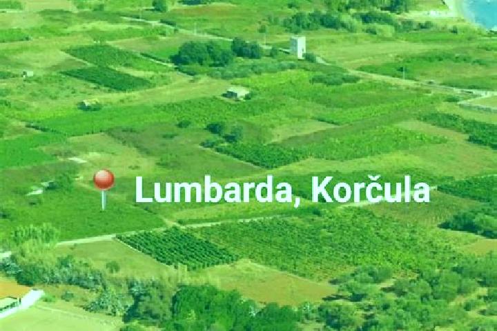 Escorts Lumbarda, Croatia — Local Companions
