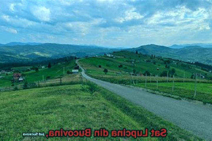 Escorts Lupcina, Romania — Local Companions