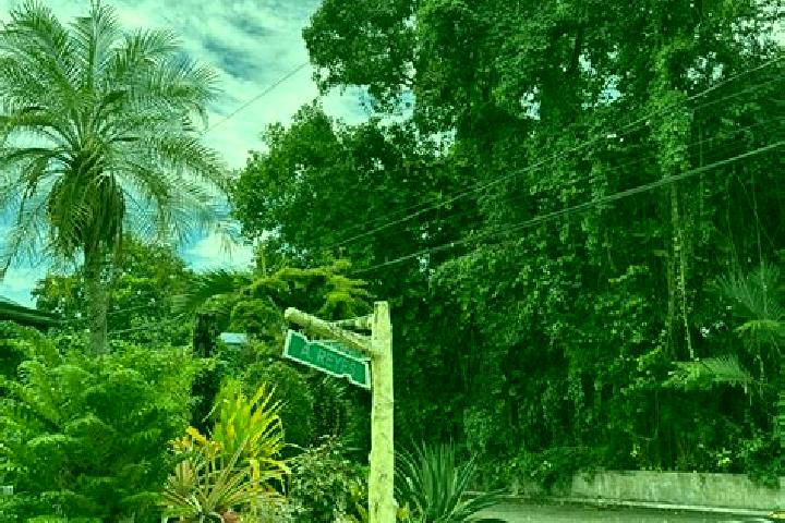 Escorts Lupi, Philippines — Local Companions