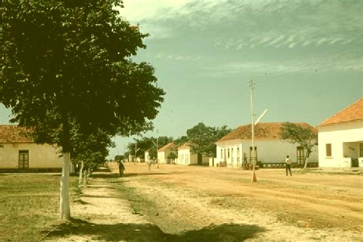 Escorts Luquembo, Angola — Local Companions