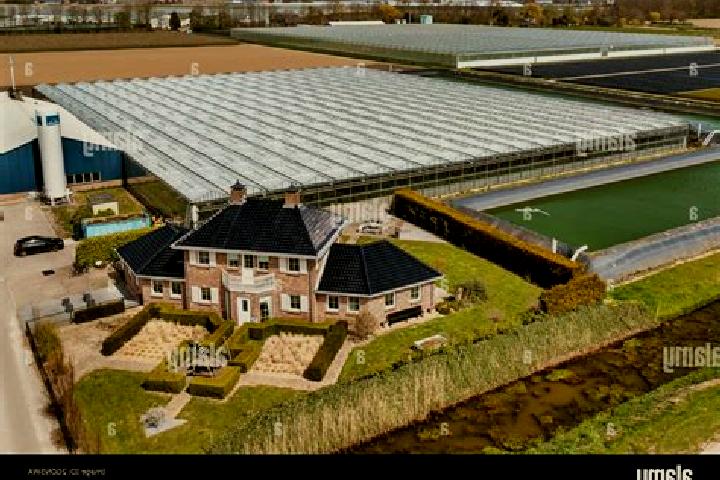 Escorts Luttelgeest, Netherlands — Local Companions