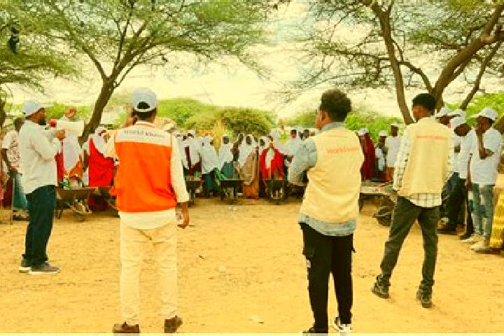 Escorts Luuq, Somalia — Local Companions