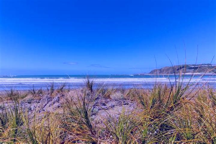 Escorts Lyall Bay, New Zealand — Local Companions