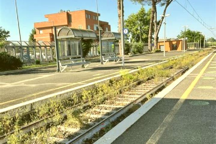 Escorts Maccarese-Stazione, Italy — Local Companions