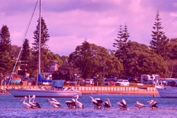 Escorts Macquarie, Australia — Local Companions