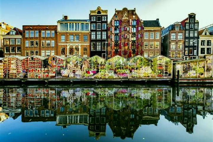 Escorts Magele, Netherlands — Local Companions