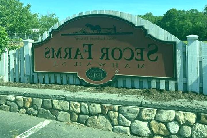 Escorts Mahwah, United States — Local Companions