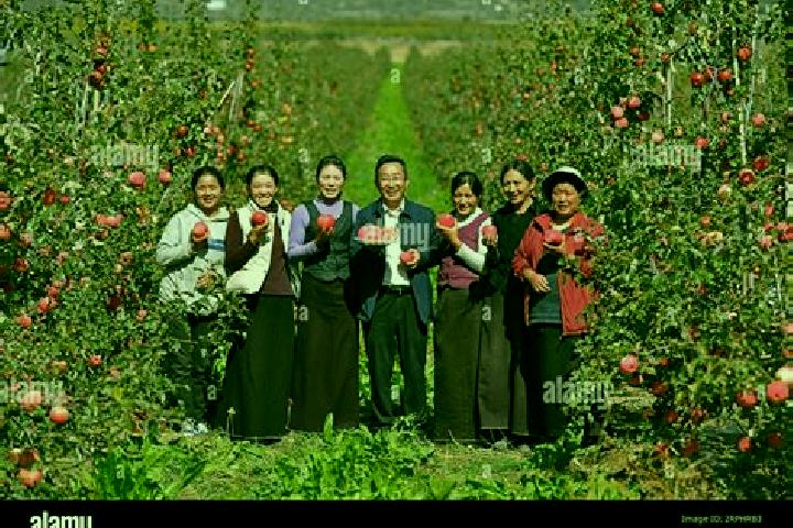 Escorts Mainling, China — Local Companions