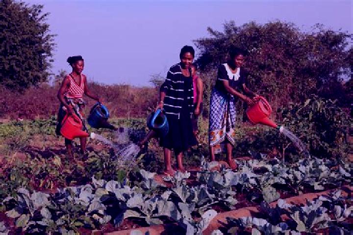 Escorts Maintirano, Madagascar — Local Companions