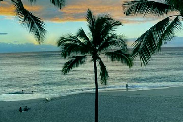 Escorts Makaha, United States — Local Companions