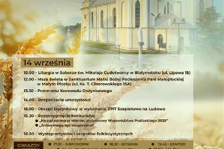 Escorts Maly Plock, Poland — Local Companions