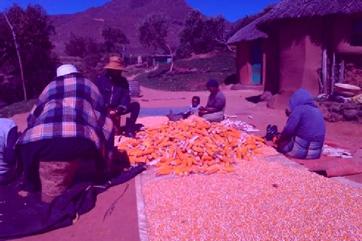 Escorts Mamathes, Lesotho — Local Companions