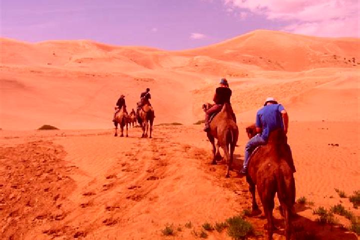 Escorts Mandalgovi, Mongolia — Local Companions