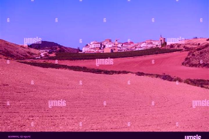Escorts Maneru, Spain — Local Companions