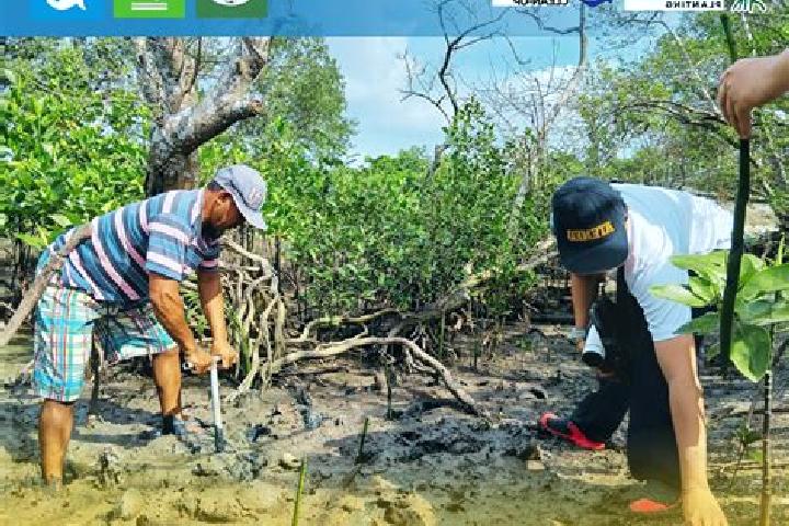 Escorts Mangrove Bight, Honduras — Local Companions