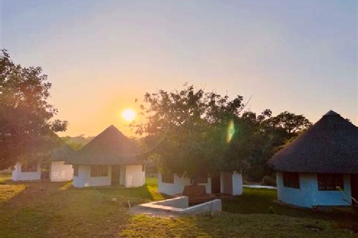 Escorts Manguzi, South Africa — Local Companions