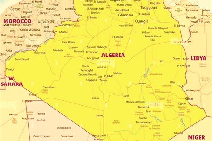 Escorts Mansoura, Algeria — Local Companions