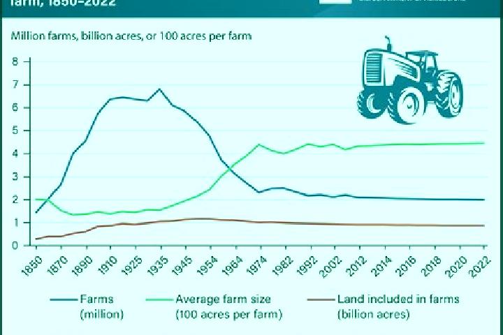 Escorts Many Farms, United States — Local Companions