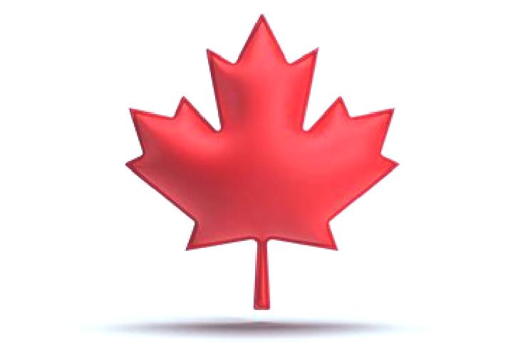 Escorts Maple Leaf, Canada — Local Companions