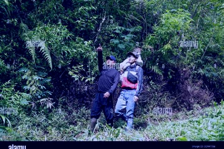 Escorts Maribaya, Indonesia — Local Companions