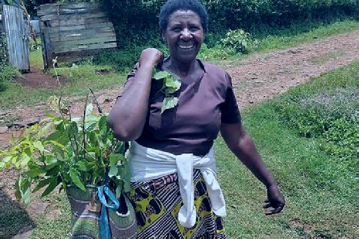 Escorts Marimanti, Kenya — Local Companions