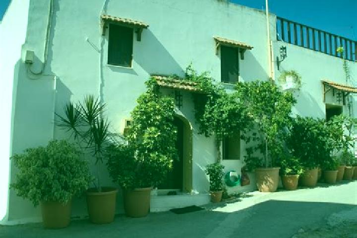 Escorts Maritsa, Greece — Local Companions