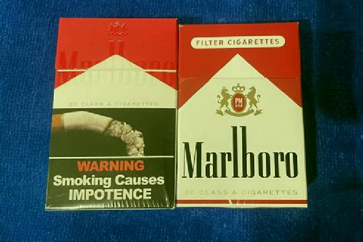 Escorts Marlboro, United States — Local Companions