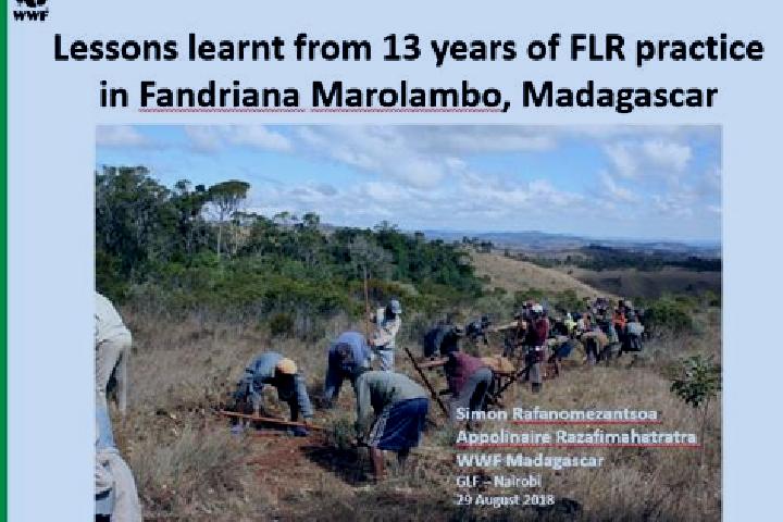 Escorts Marolambo, Madagascar — Local Companions