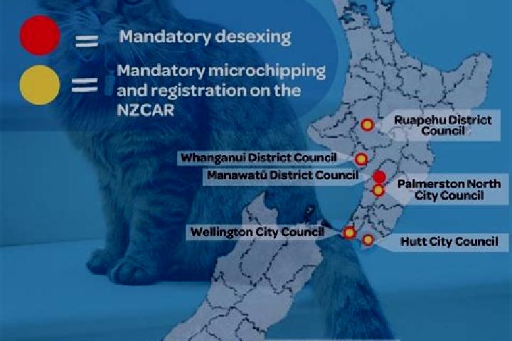 Escorts Marybank, New Zealand — Local Companions