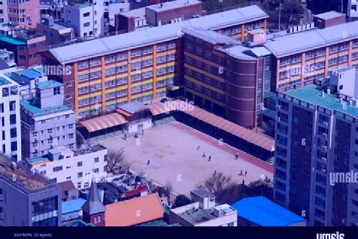 Escorts Masan, South Korea — Local Companions