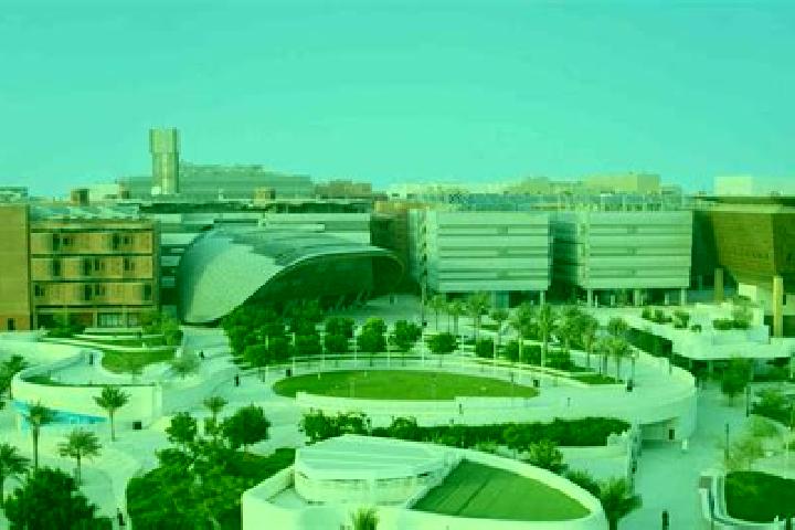 Escorts Masdar City, United Arab Emirates — Local Companions