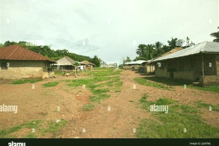 Escorts Masoyila, Sierra Leone — Local Companions