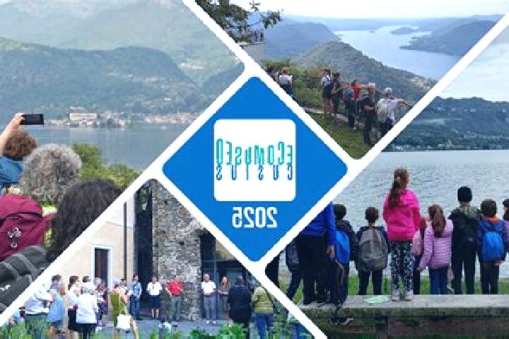 Escorts Massino Visconti, Italy — Local Companions