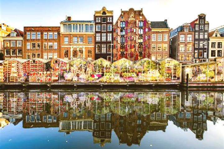 Escorts Matendreef, Netherlands — Local Companions