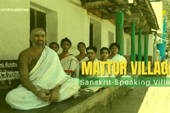 Escorts Mattur, India — Local Companions
