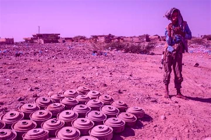 Escorts Mawza , Yemen — Local Companions