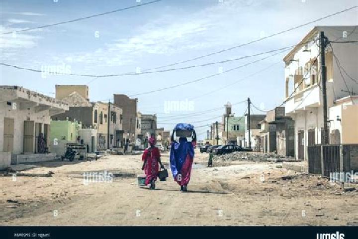 Escorts Mboutt, Mauritania — Local Companions