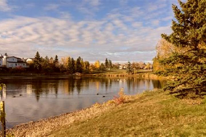 Escorts McConachie Area, Canada — Local Companions