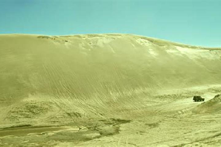 Escorts Medanos, Argentina — Local Companions