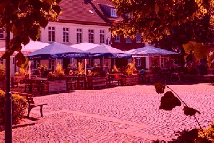 Escorts Meerbusch, Germany — Local Companions
