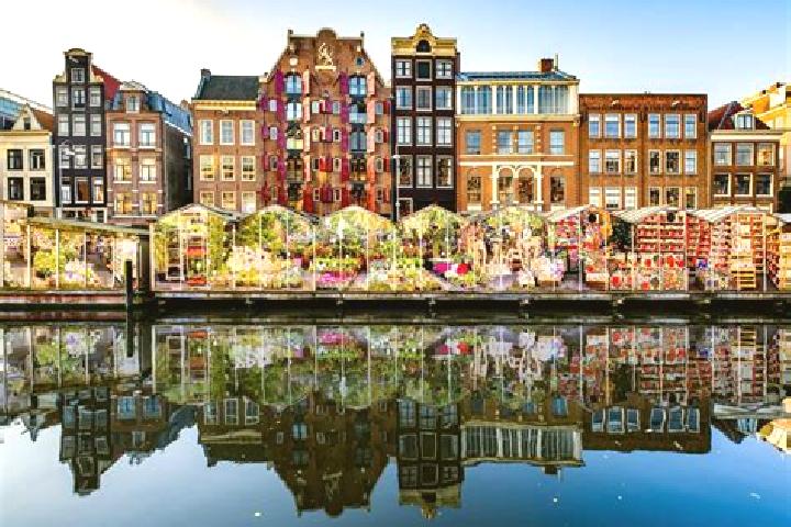 Escorts Megchelen, Netherlands — Local Companions